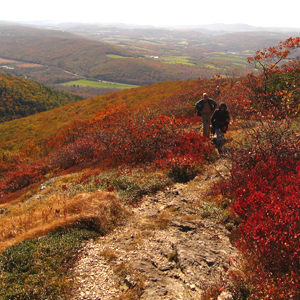 Taconic Mountains. Photo by Georgette Weir.