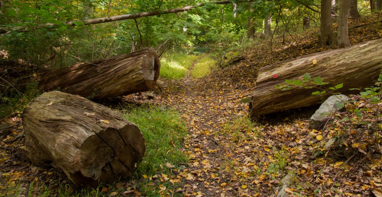 On the Benedict Arnold Escape Path from the Glenclyffe Loop - Photo Antonio Rivera