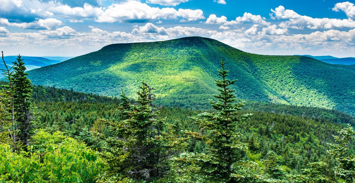 Discovering the Long Path: Slide Mountain - Photo: Steve Aaron