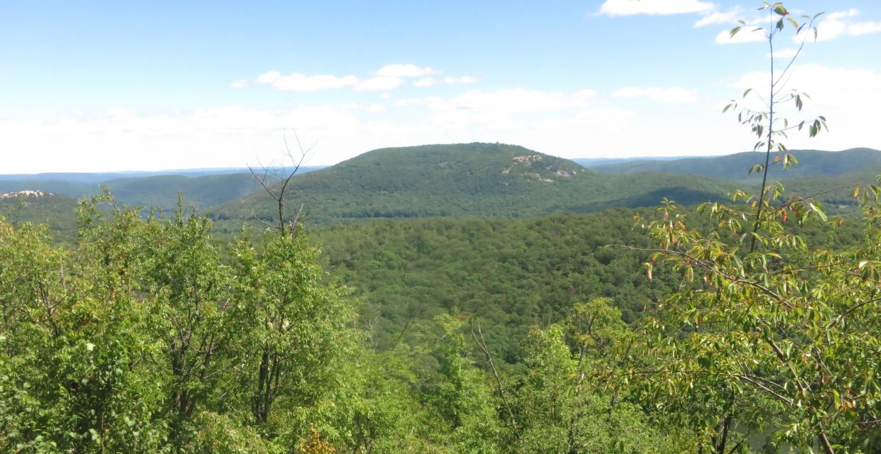 Long Path to Long Mountain Summit in Harriman State Park - Photo: Daniel Chazin