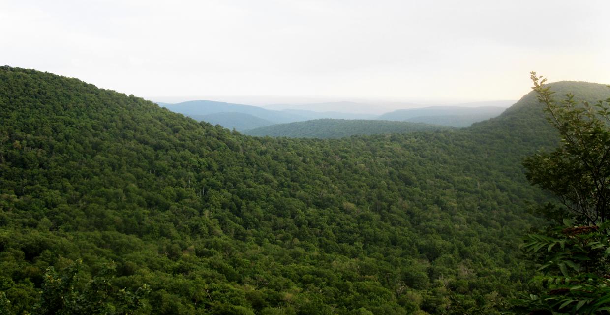 Peekamoose and Table Mountains - Catskill Park - Photo: Daniel Chazin