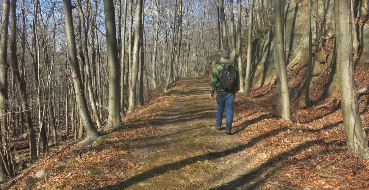 Hiker along Beechy Bottom Road in Harriman State Park. Photo by Daniel Chazin.