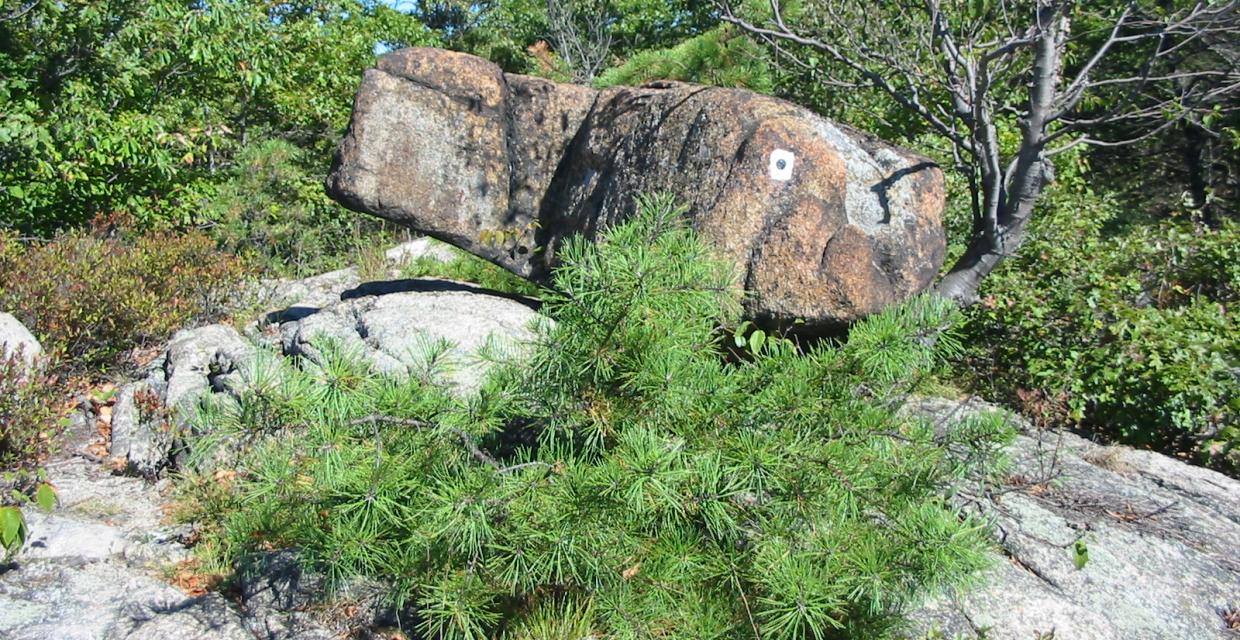 Raccoon Brook Hills Trail/Pine Meadow Lake/Diamond Mt. Loop - Harriman-Bear Mountain State Parks - Photo: Daniel Chazin