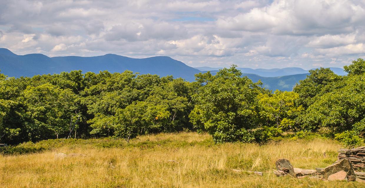 View of Catskills from meadow - Ashokan High Point - Catskill Park - Photo: Bill Roehrig