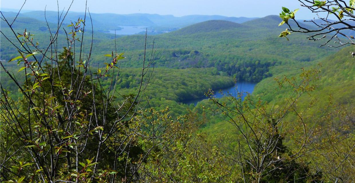 Southeastern View from Fishkill Ridge - Fishkill Ridge Conservation Area - Photo credit: Daniela Wagstaff