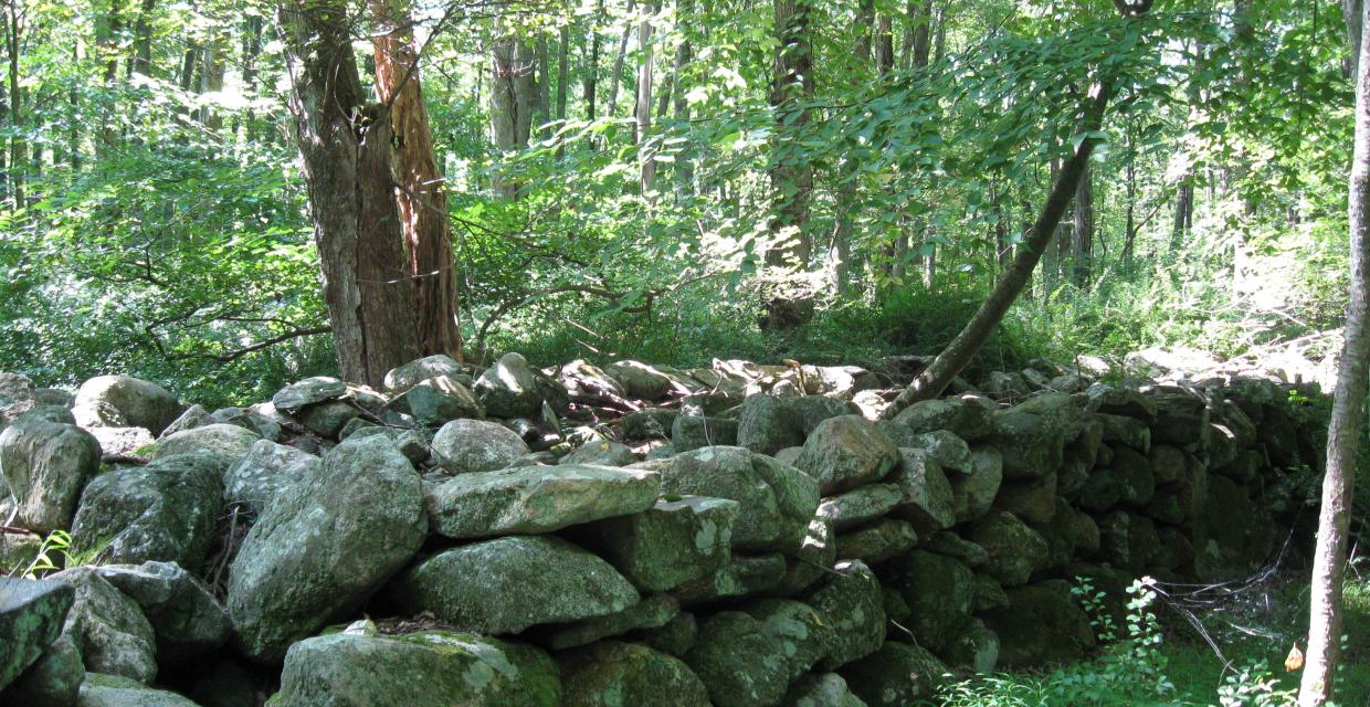 Wide stone wall. Photo: Jane Daniels