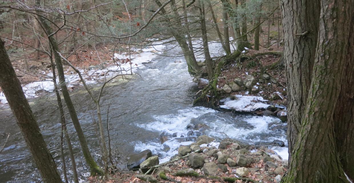 Along the Big Flat Brook - Photo by Daniel Chazin