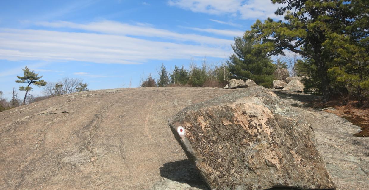 The Whaleback on the R-D Trail - Photo by Daniel Chazin