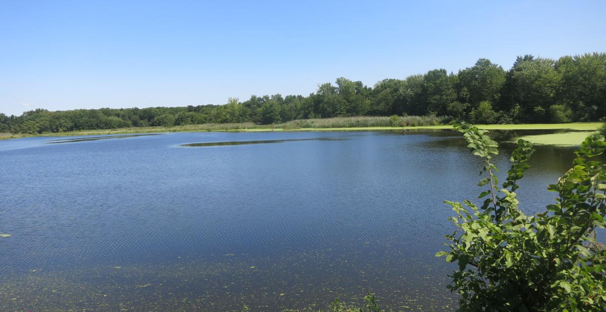 View of Lake Appert - Photo by Daniel Chazin