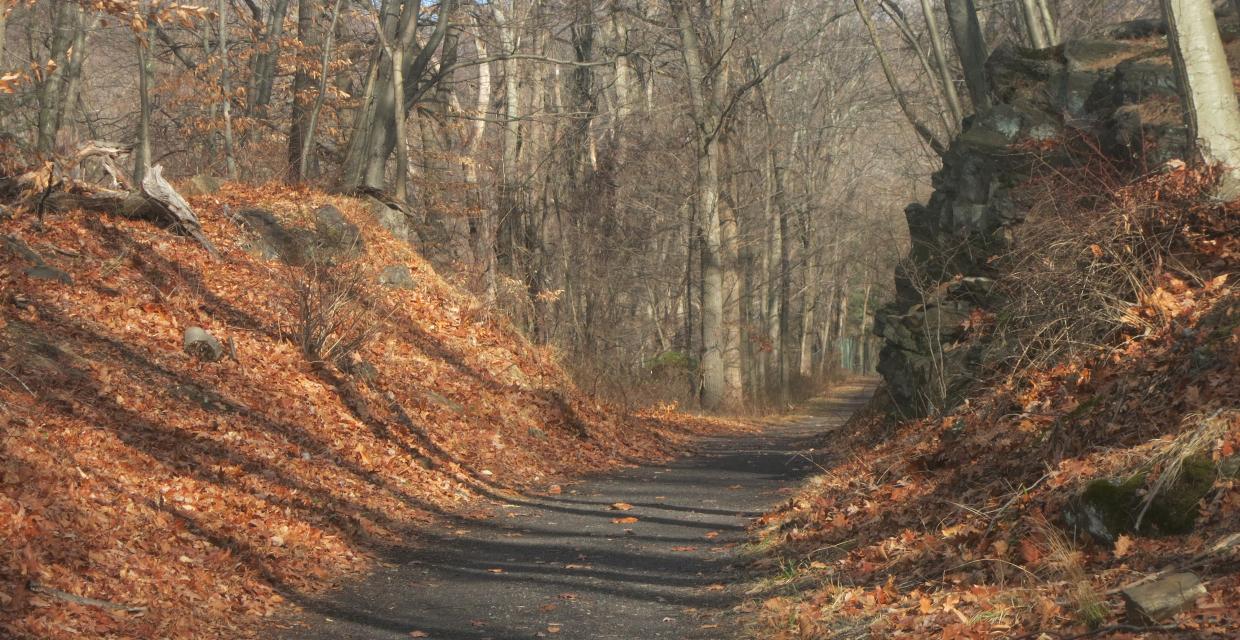 Route of the Old Croton Aqueduct as it passes through a rock cut in Westchester County. Photo by Daniel Chazin.