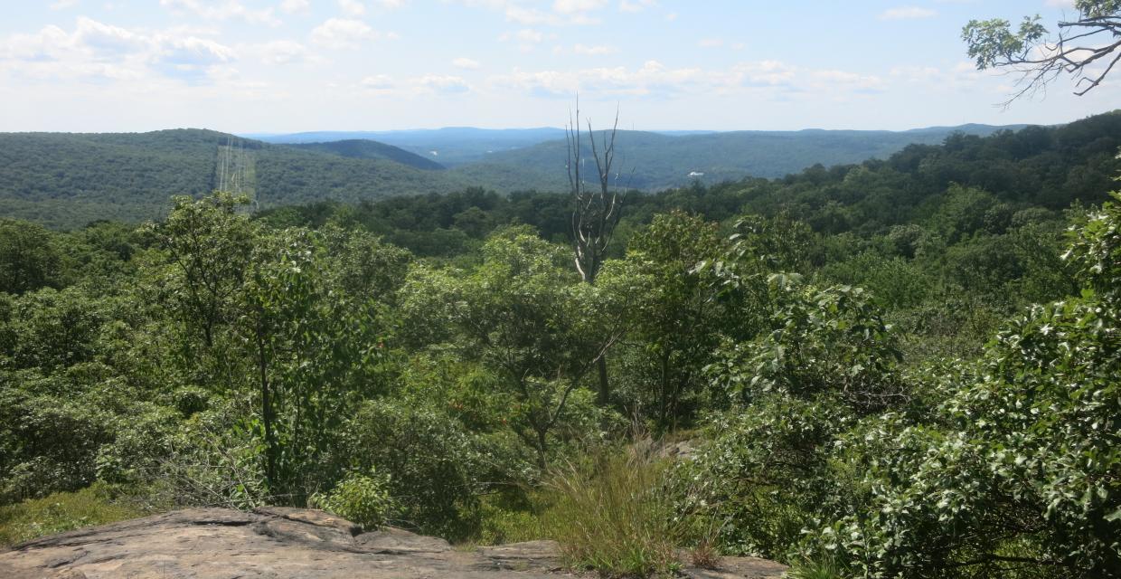 Scenic view from the Raccoon Brook Hills Trail. Photo by Daniel Chazin.