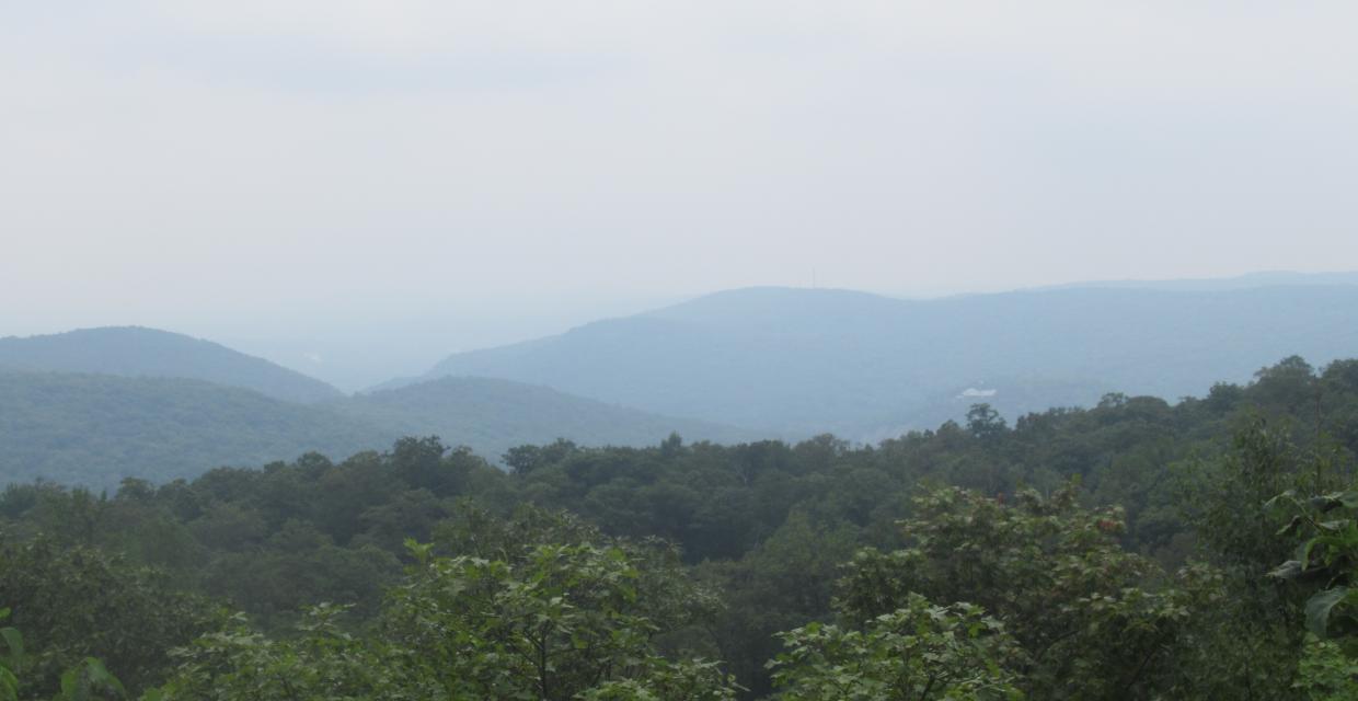 Southwest-Facing View on the Raccoon Brook Hills Trail. Photo by Daniel Chazin.