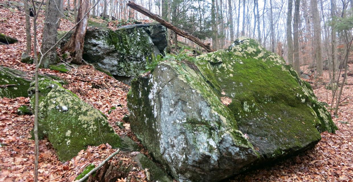 Teatown Lake Reservation, Twin Lakes Trail. Photo by Daniel Chazin.