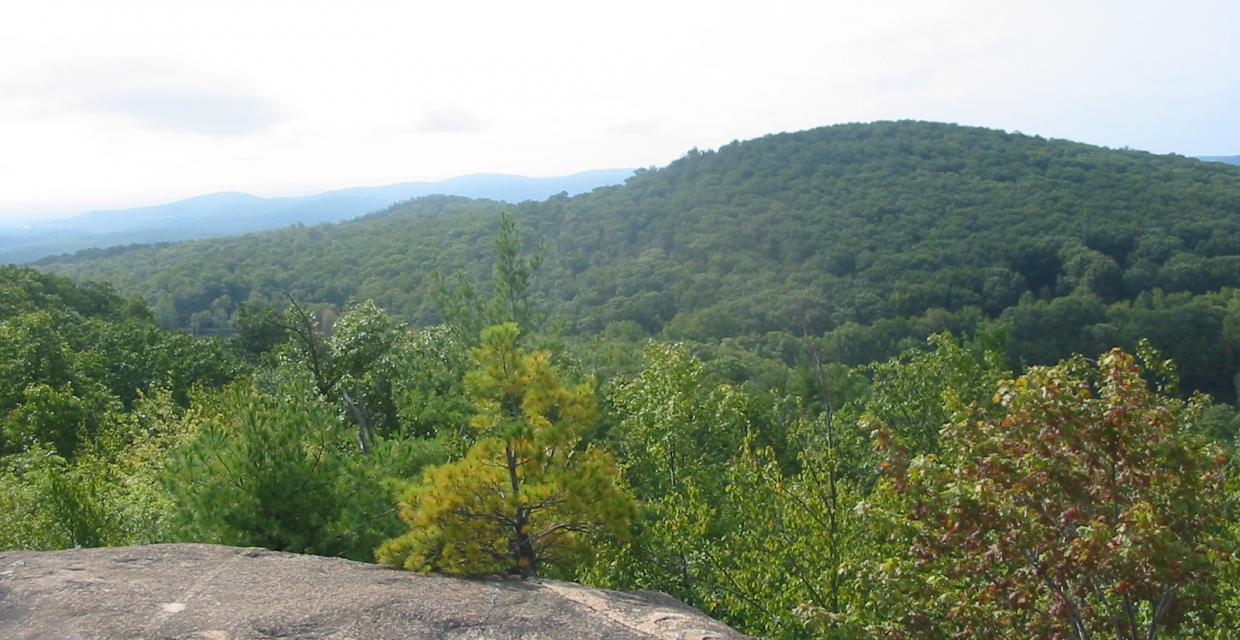 View from Buck Mountain - Photo by Daniel Chazin