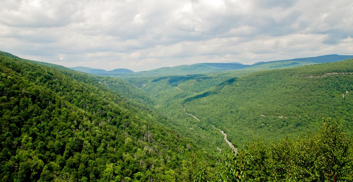 View of Kaaterskill Clove from Poet's Ledge - Photo credit: Jeremy Apgar