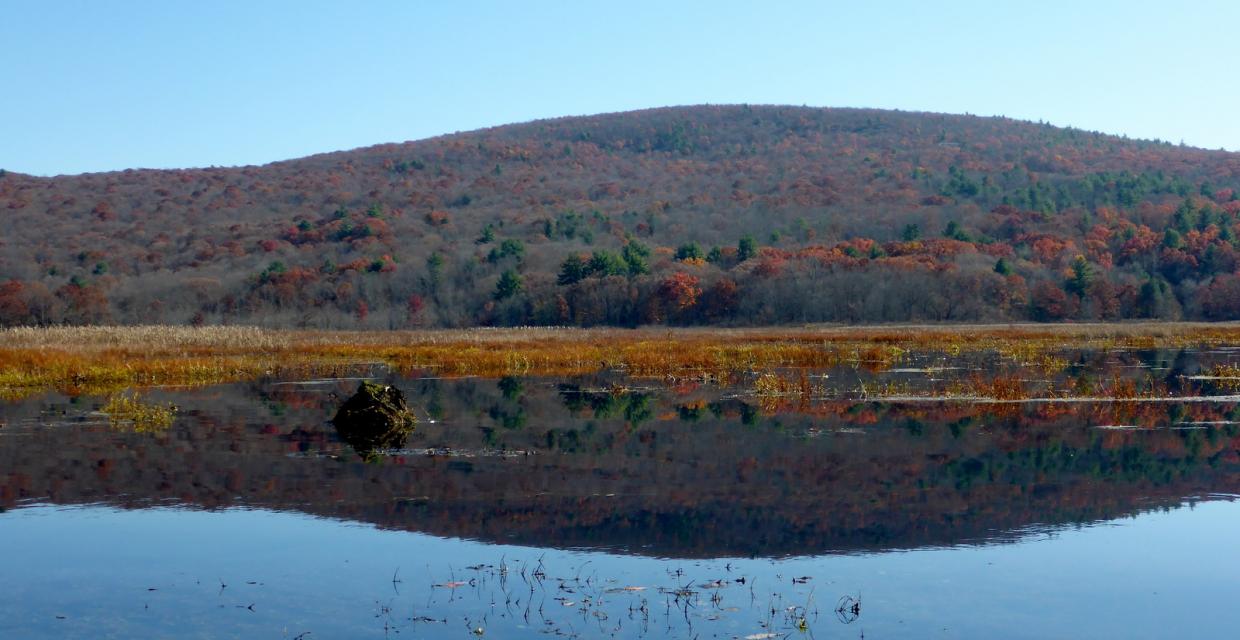 View of the Shawangunk Ridge from Basha Kill Lake - Photo credit: Jakob Franke