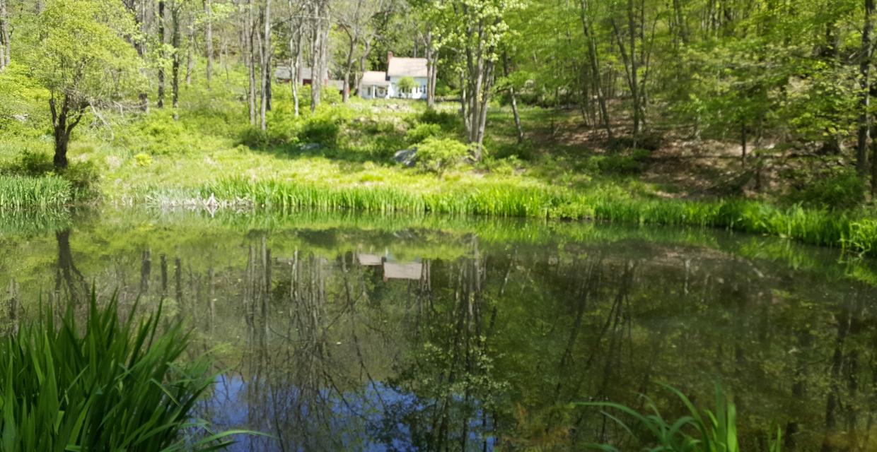 Reflections of house on Journey's End Pond Photo: Jane Daniels