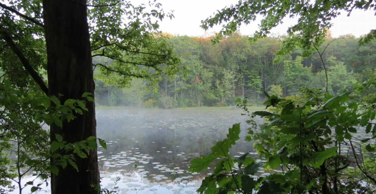 View of Camp Jefferson Lake - Photo credit: Daniela Wagstaff