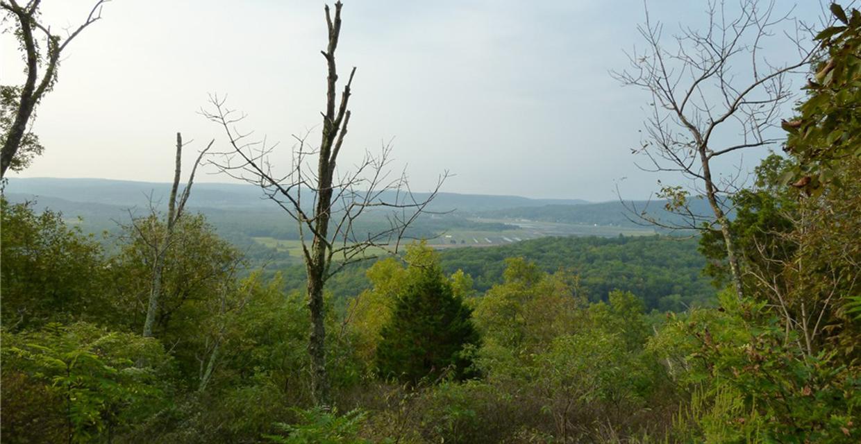 View along the Summit Trail at Jenny Jump State Forest - Photo credit: Daniela Wagstaff