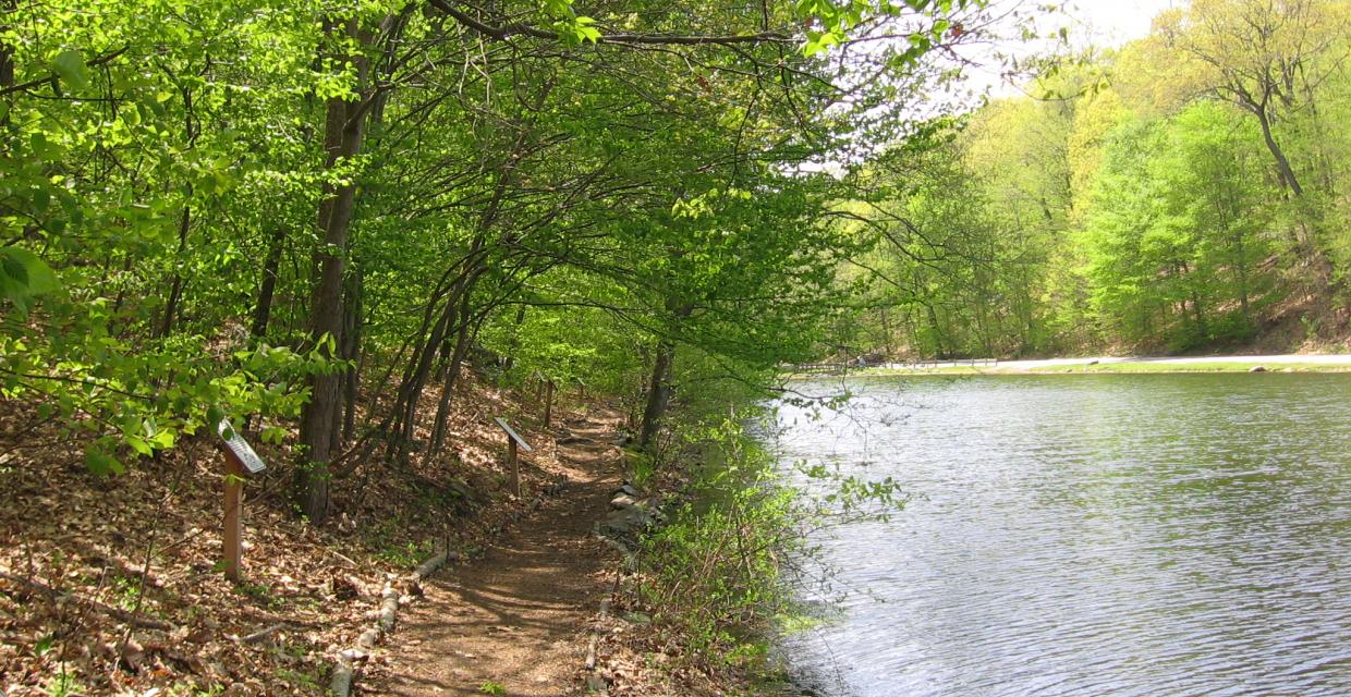 Along Gedney Pond Photo: Jane Daniels