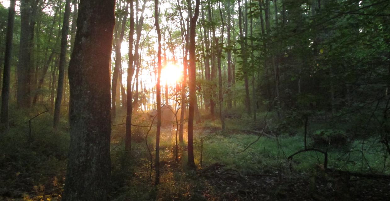 Sunset on the Overlook Trail Photo: Jane Daniels