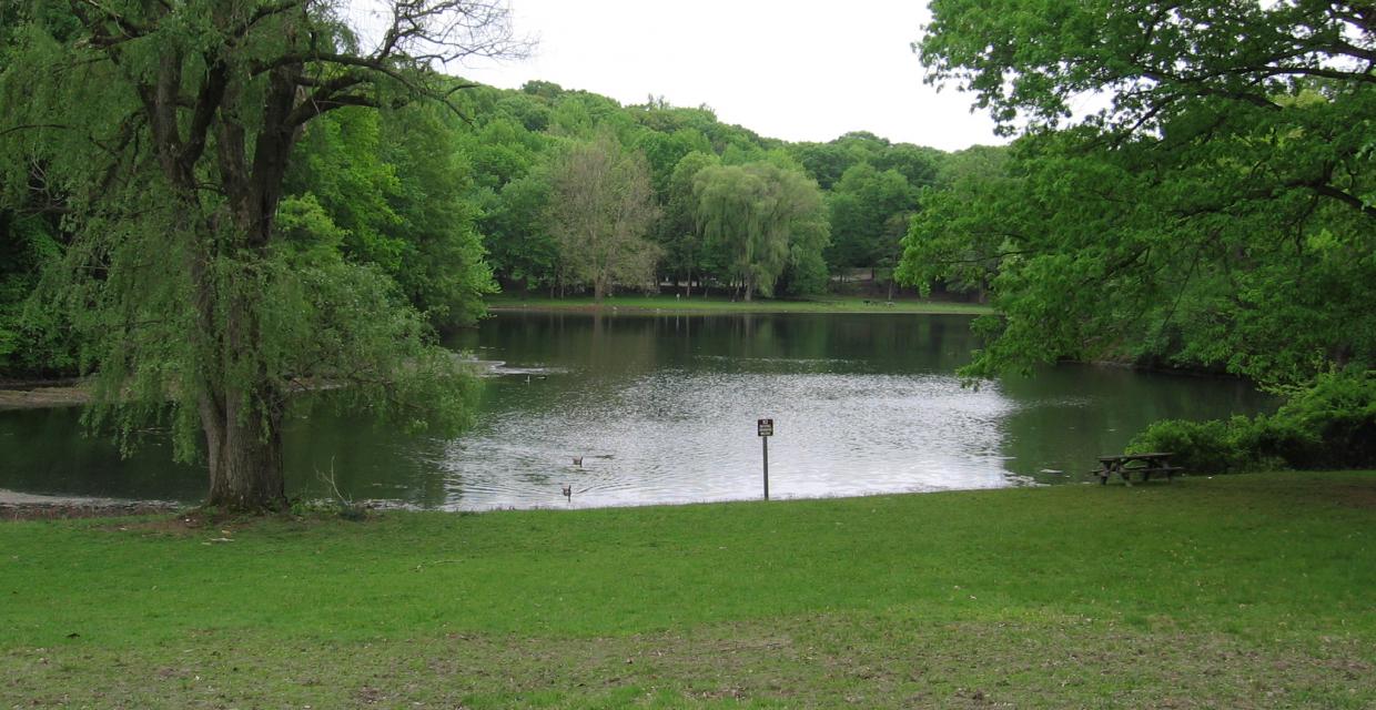 Loundsbury Pond: Photo: Jane Daniels