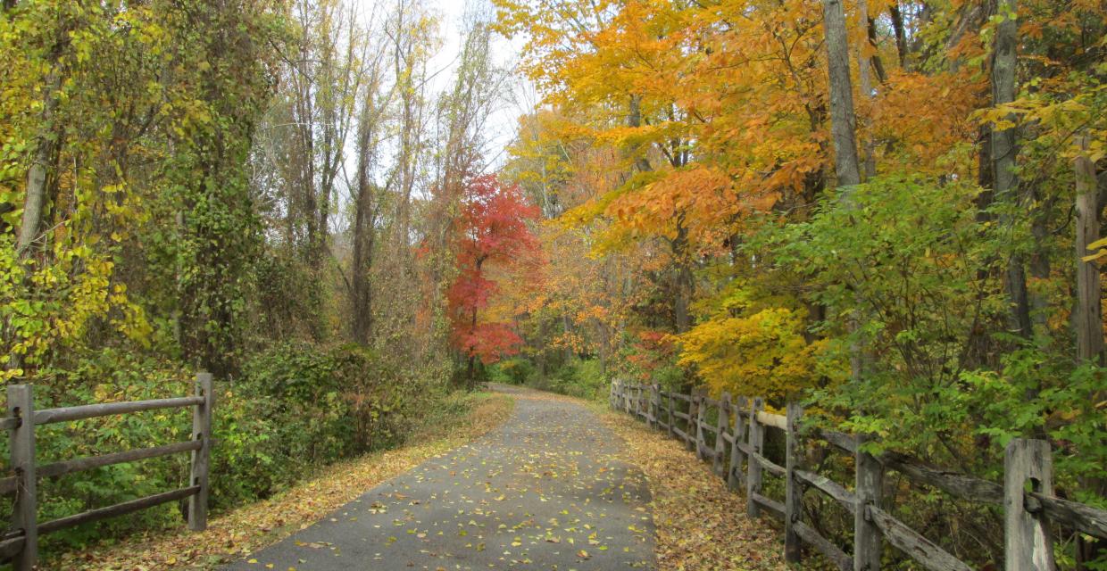 Fall colors along the North County Trailway Photo:Jane Daniels 