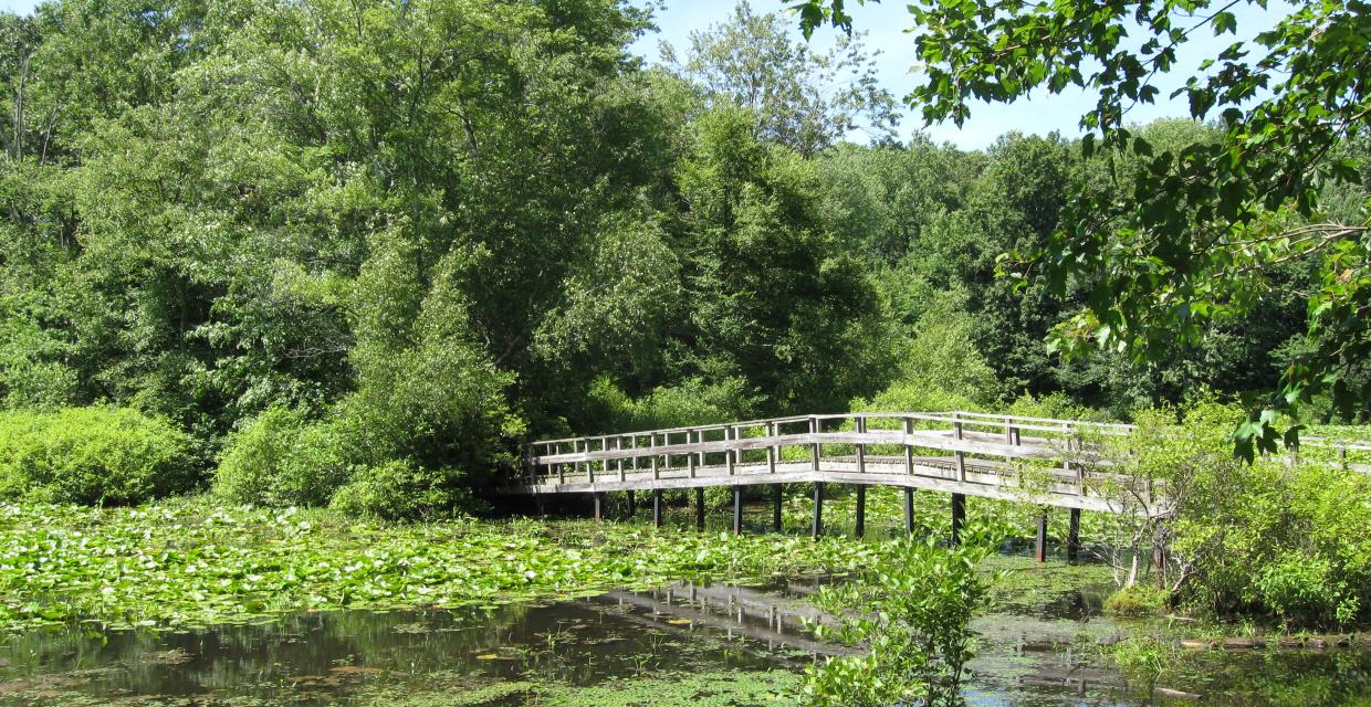 The bridge to Wildflower Island Photo: Jane Daniels