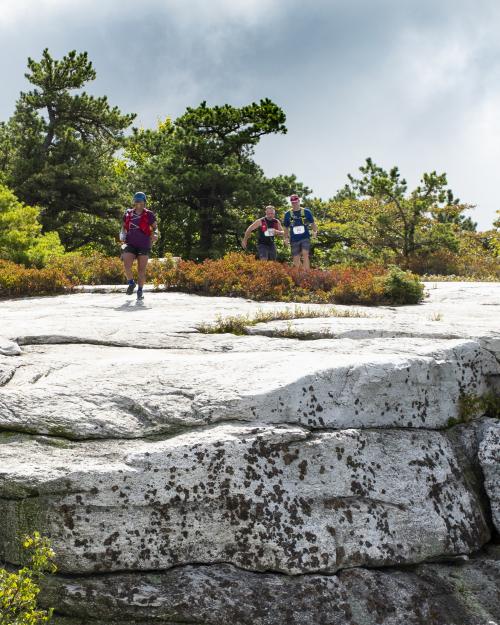 Shawangunk Ridge Trail Race Litchfield Ledge Group. Photo by Steve Aaron.