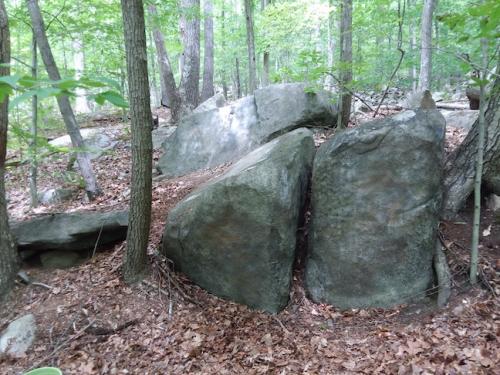 Sylvan Glen Preserve Graffiti Removal. Photo by Jane Daniels.