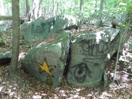 Sylvan Glen Preserve Graffiti Removal Before Photo. Photo by Jane Daniels.