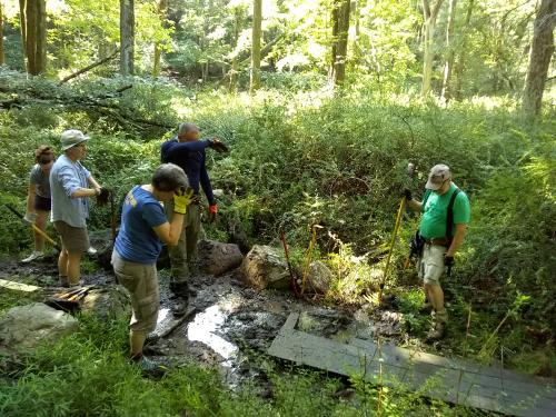 Trail Tramps Planning Trail Work. Photo by Mary Dodds.