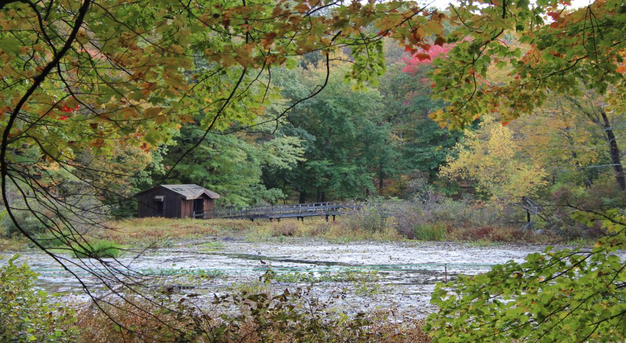 Blue Trail, Teatown Lake Reservation - Photo Patricia Nicolini