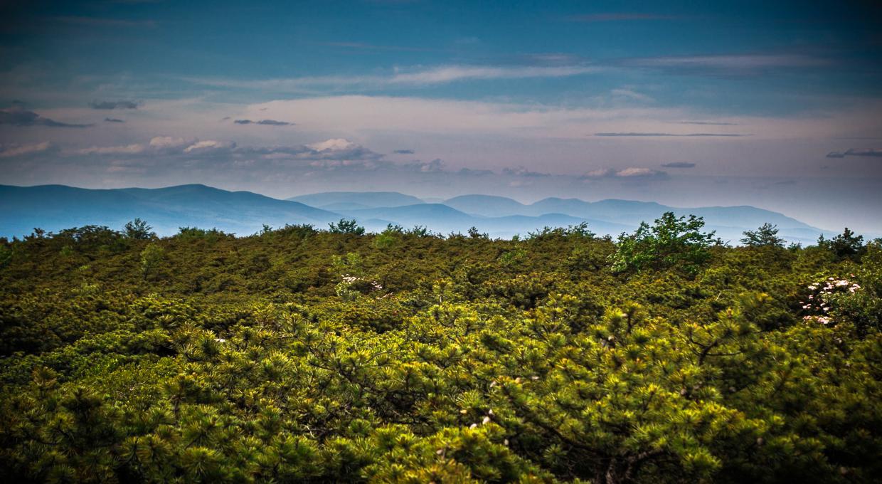 High Point View - Photo Steve Aaron