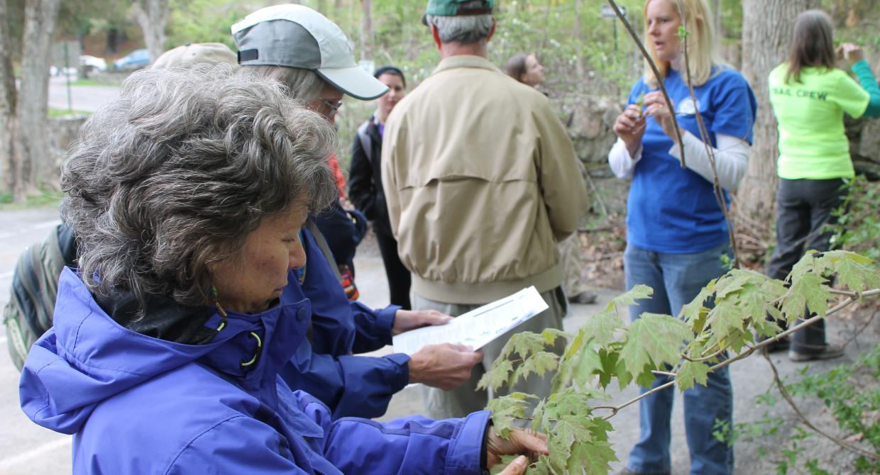 Invasive Plant Species Identification Class.