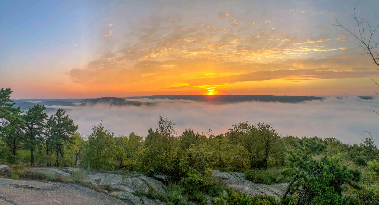 Wyanokie High Point at Norvin Green State Forest. Photo by Heather Darley.