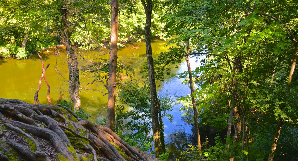 Trail Conference Stewards will be stationed at Croton River Unique Area to help visitors and protect the ecosystem.