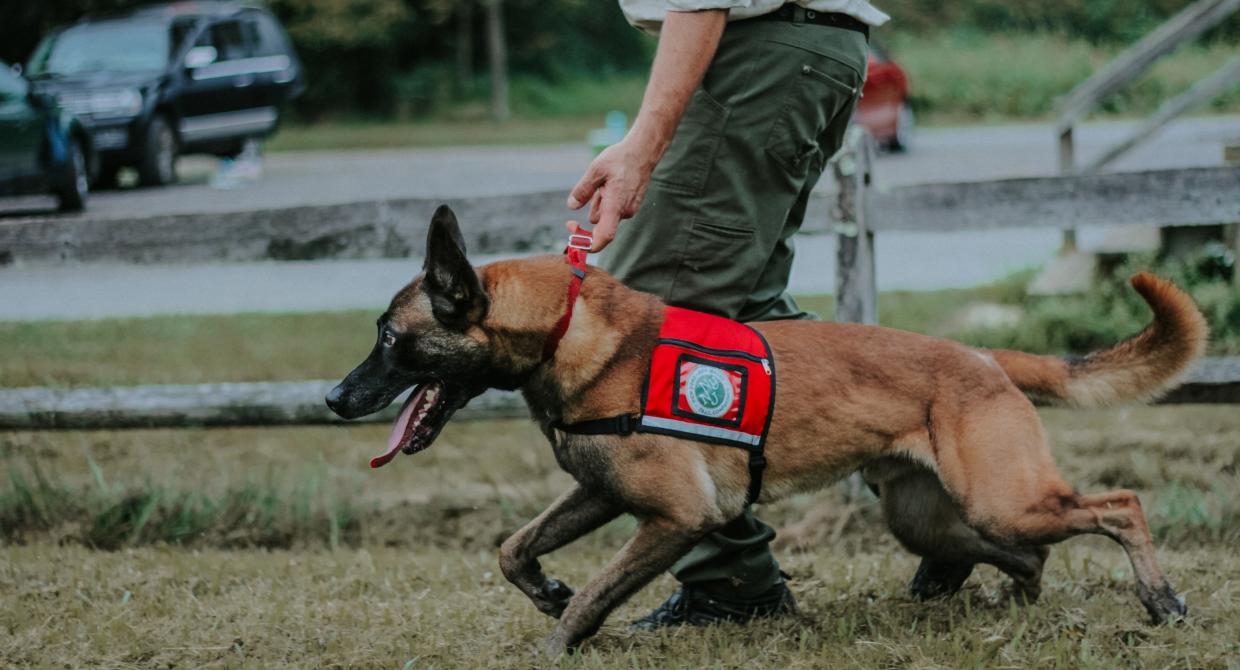 Conservation Dog Fagen + Handler Joshua Beese. Photo by Arden Blumenthal.