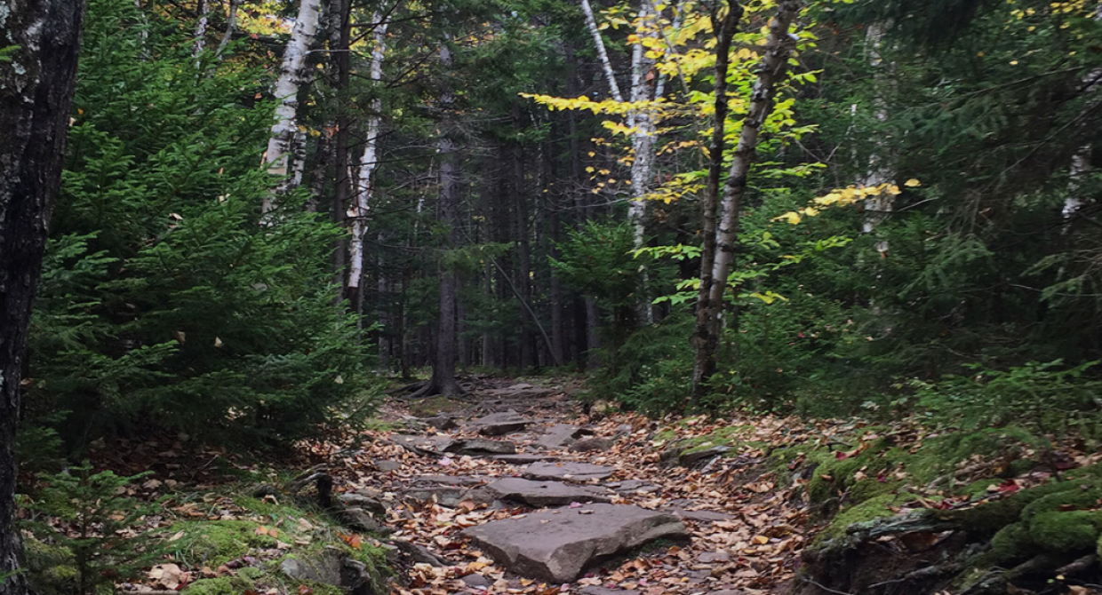 Catskill Trail. Photo by Heather Darley.