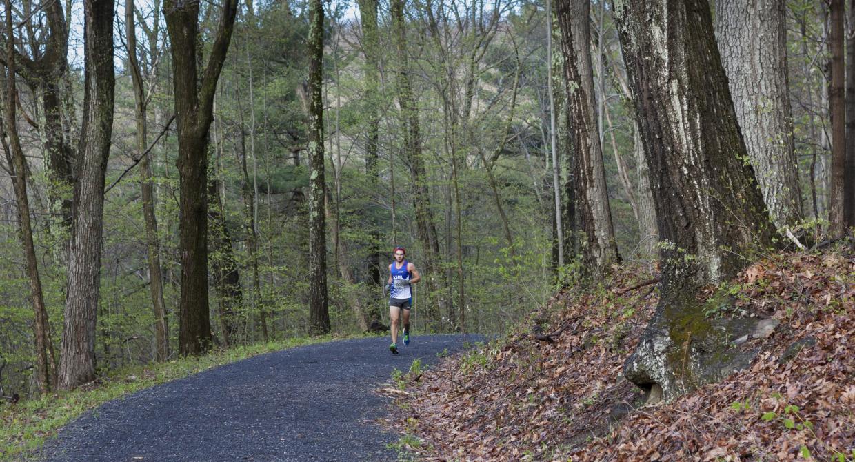 Rock The Ridge. Photo by John Aylward.