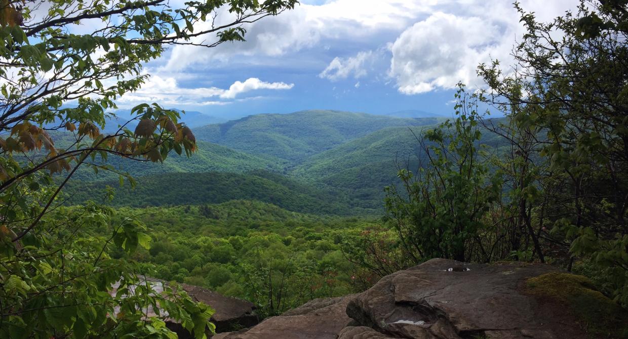 View from Giant Ledge in the Catskills. Photo by Marlee Goska.