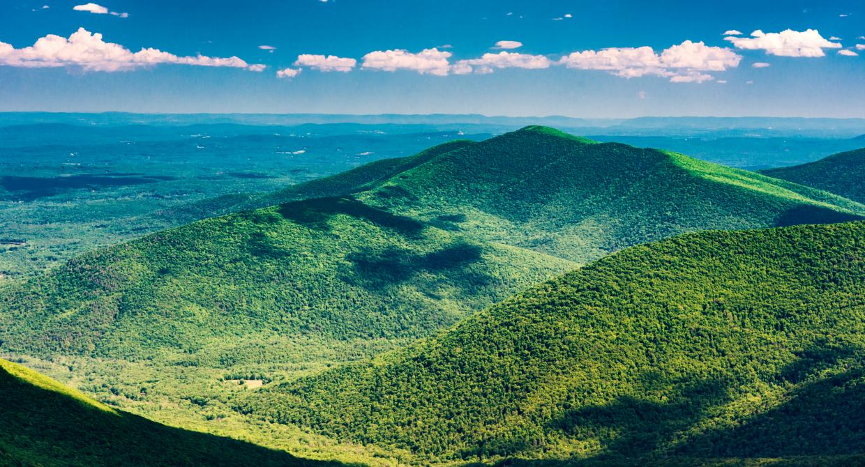 Scenic view from the Long Path of Ashokan High Point Wittenberg in the Catskills. Photo by Steve Aaron.