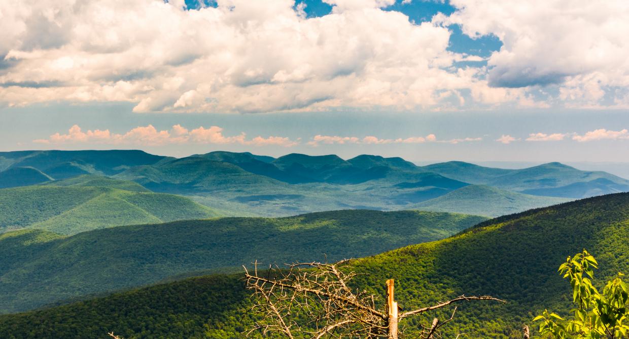 Catskill's Slide Mountain with View of the Devil's Path. Photo by Steve Aaron.