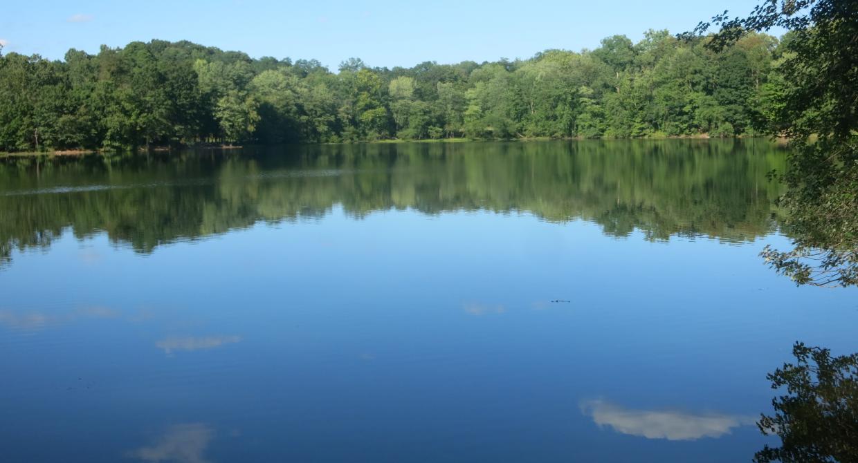 Ramapo Valley County Reservation, Vista Loop Trail. Photo by Daniel Chazin.