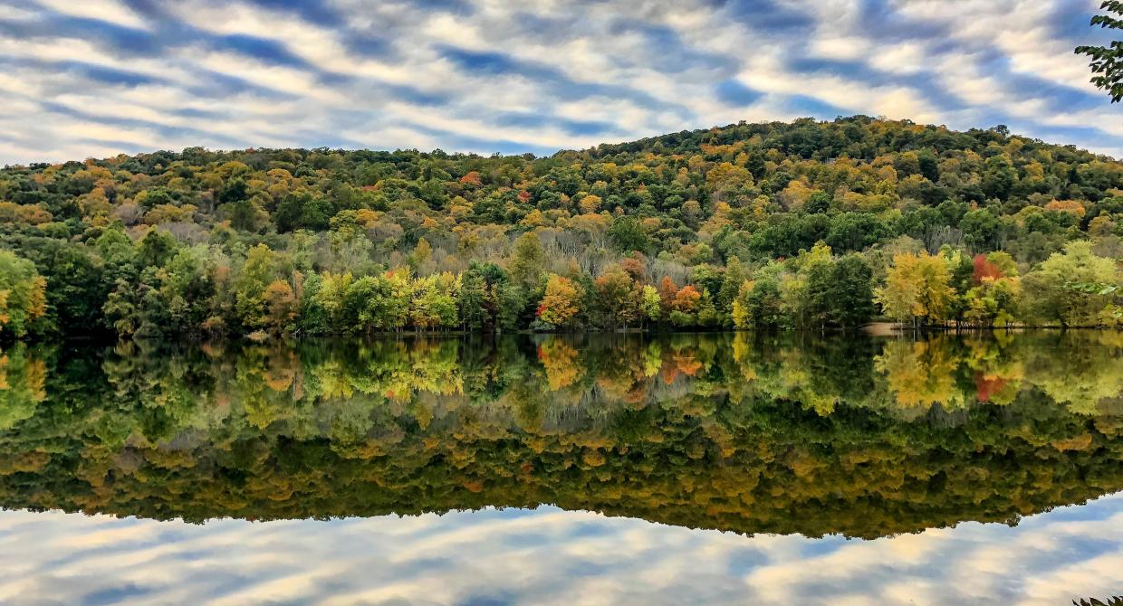 Ramapo Reservation reflection. Photo by Diana Richards.