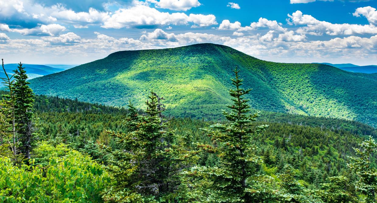 Discovering the Long Path: Slide Mountain - Photo: Steve Aaron