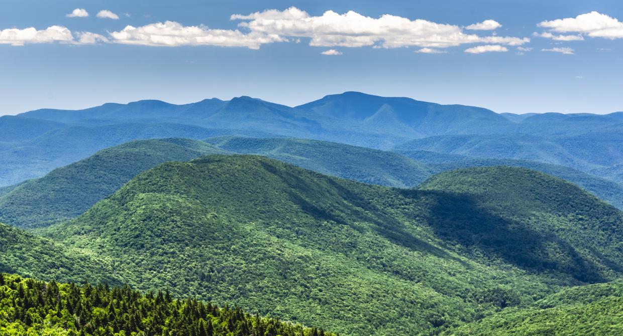 Catskill's View of Slide Mountain from Orchard Point. Photo by Steve Aaron.