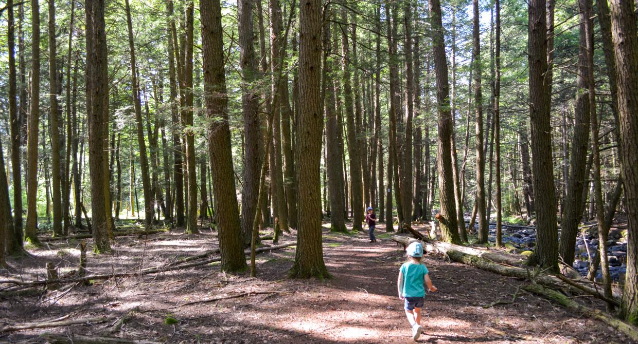 Family Hiking the Blue Mountain Loop in Stokes State Forest, New Jersey. Photo credit: Jeremy Apgar