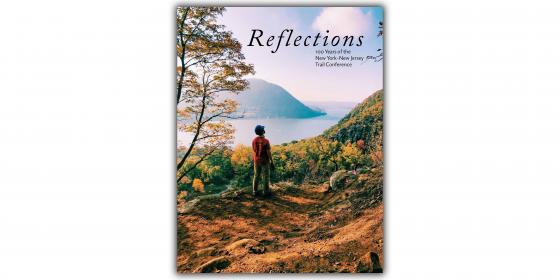 Reflections Book Cover