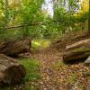 On the Benedict Arnold Escape Path from the Glenclyffe Loop - Photo Antonio Rivera